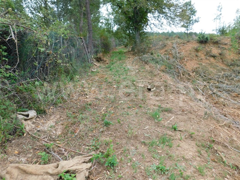 Quintinha  Fundão, Alcaide - 1356193 - 9