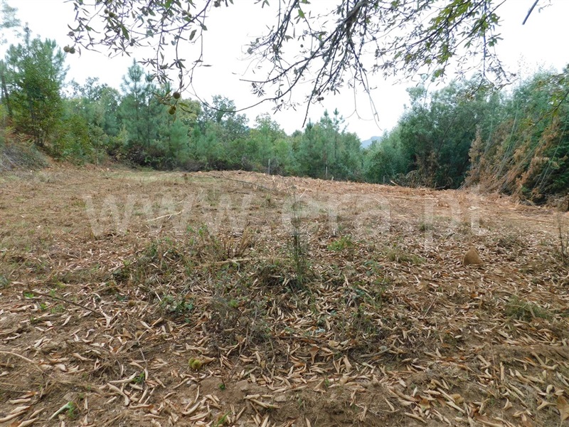 Quintinha  Fundão, Alcaide - 1356193 - 11