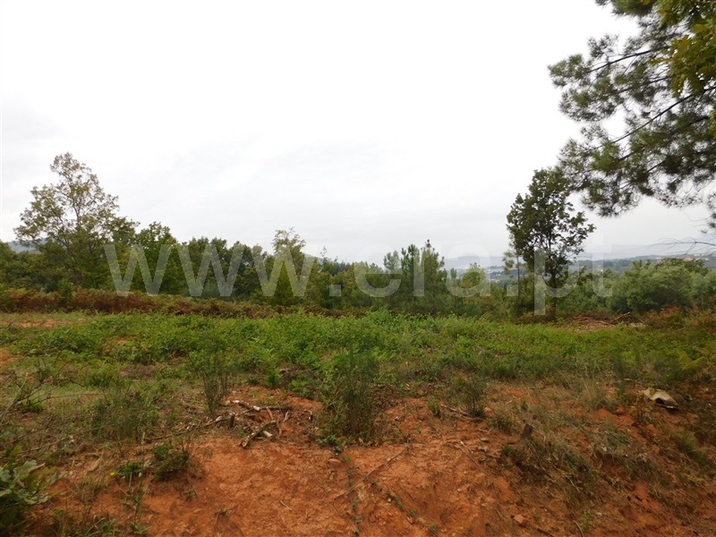 Quintinha  Fundão, Alcaide - 1356193 - 13