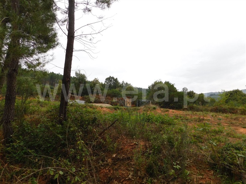 Quintinha  Fundão, Alcaide - 1356193 - 14