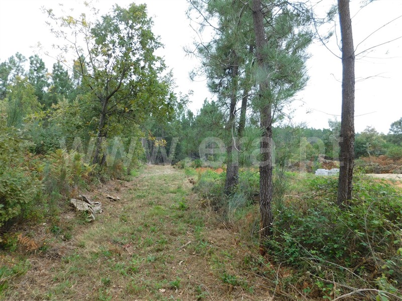 Quintinha  Fundão, Alcaide - 1356193 - 15