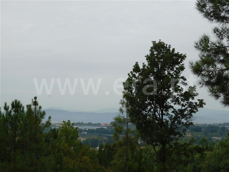 Quintinha  Fundão, Alcaide - 1356193 - 16