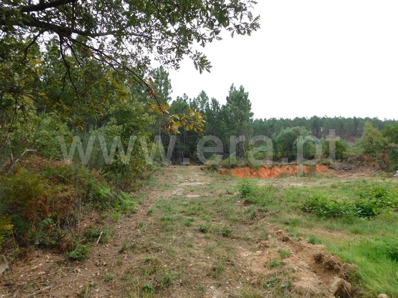 Quintinha  Fundão, Alcaide - 1356193 - 17