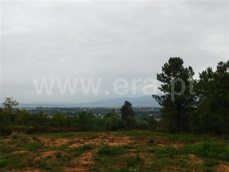 Quintinha  Fundão, Alcaide - 1356193 - 19