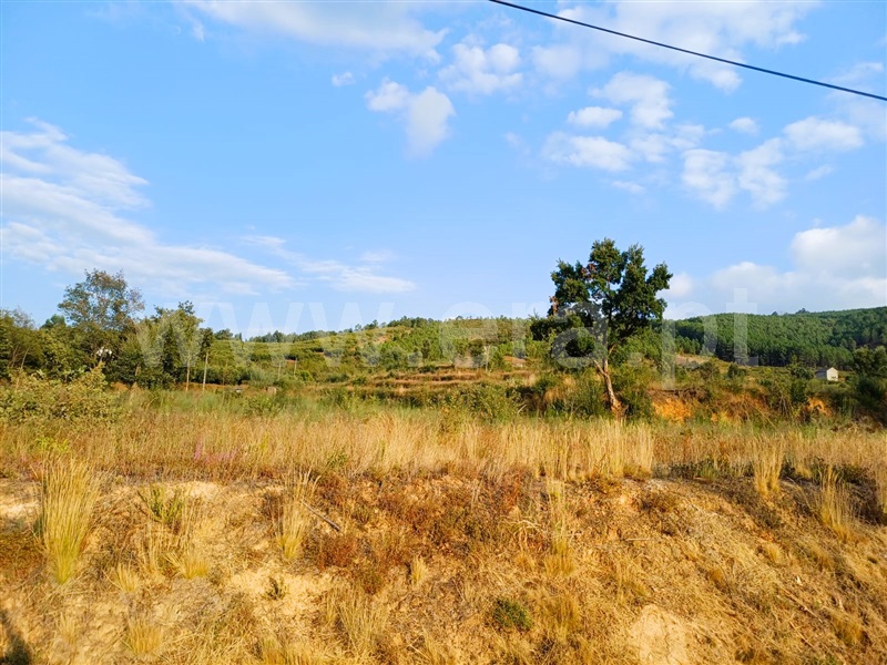 Terreno Rústico  Fundão, Alcaide - 1429401 - 6