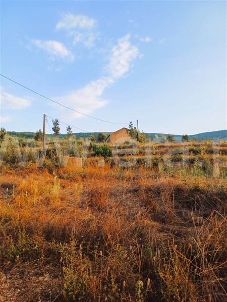 Terreno Rústico / Fundão, Alcaide