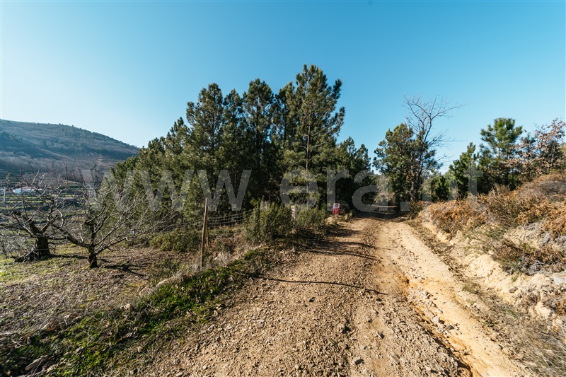 Terreno Rústico / Fundão, Alcaide