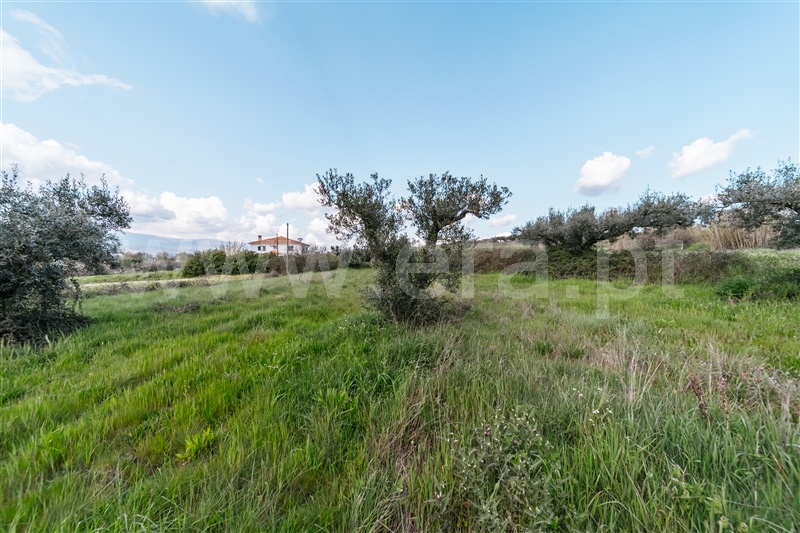 Terreno para Construção  Fundão, Aldeia Nova - 1393362 - 4