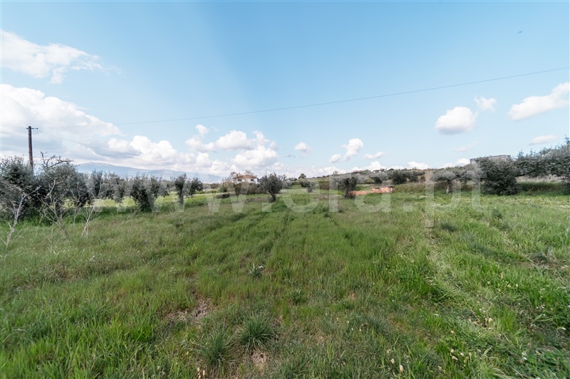 Terreno para Construção  Fundão, Aldeia Nova - 1393362 - 6