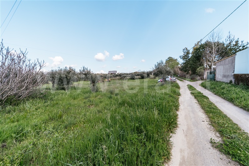 Terreno para Construção  Fundão, Aldeia Nova - 1393362 - 7