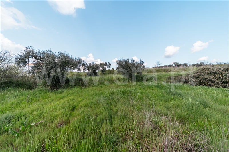 Terreno para Construção  Fundão, Aldeia Nova - 1393362 - 10
