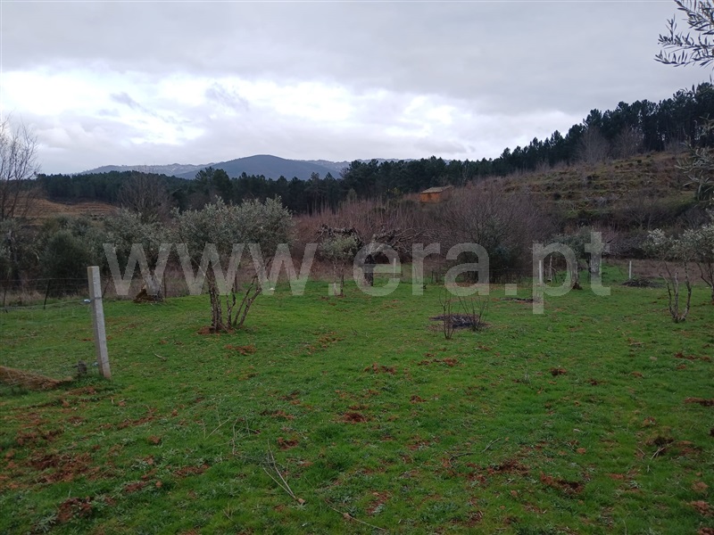 Terreno Rústico  Fundão, Castelejo - 1462510 - 18