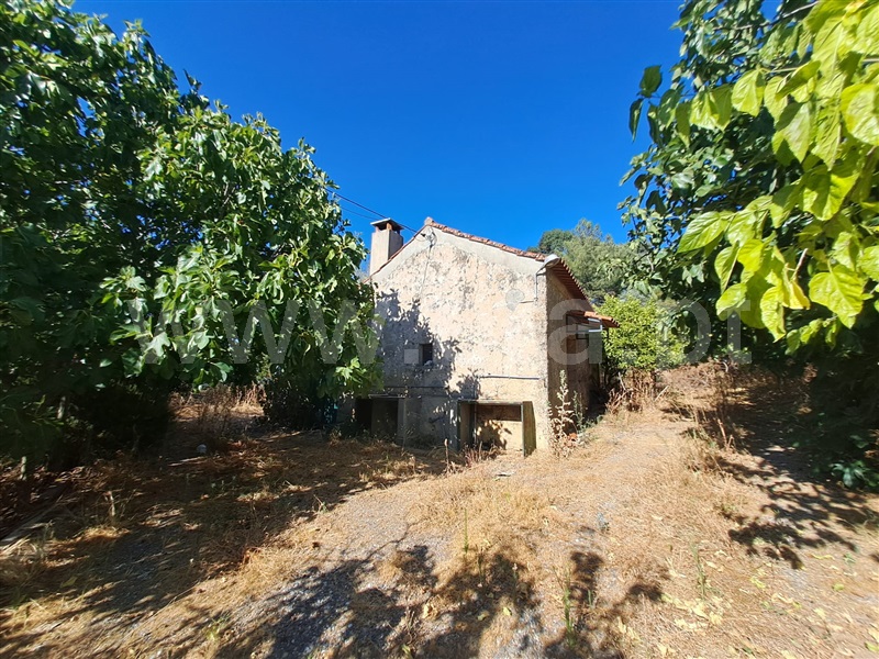 Terreno Rústico / Fundão, Fundão, Valverde, Donas, Aldeia de Joanes e Aldeia Nova do Cabo