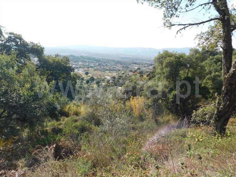 Terreno Rústico  com Agrícola Fundão, Pêro Viseu - 1213691 - 3