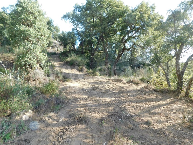 Terreno Rústico  com Agrícola Fundão, Pêro Viseu - 1213691 - 4