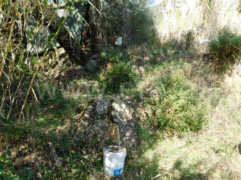 Terreno Rústico  com Agrícola Fundão, Pêro Viseu - 1213691 - 5