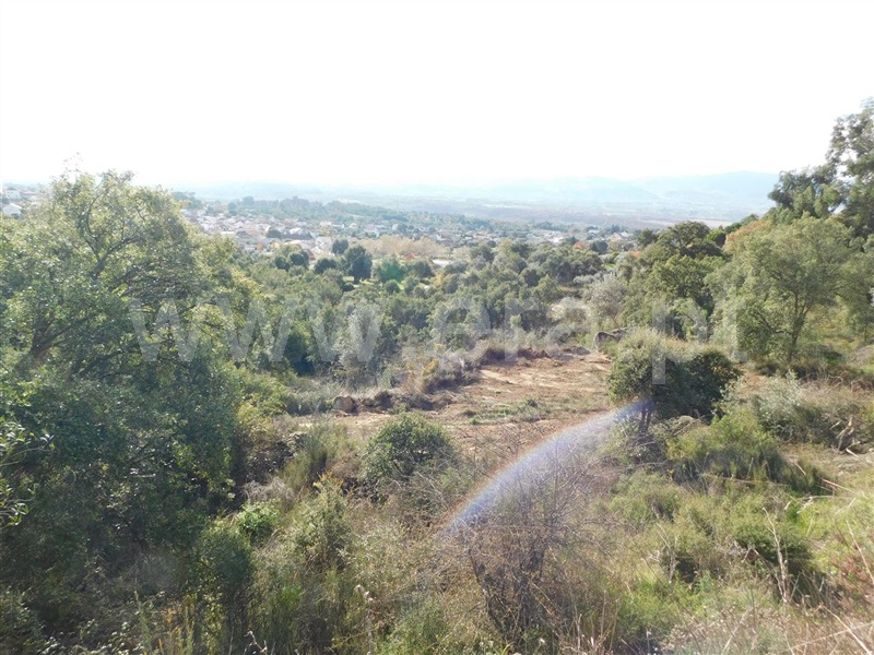 Terreno Rústico  com Agrícola Fundão, Pêro Viseu - 1213691 - 6