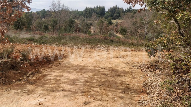 Terreno Rústico  Fundão, Pêro Viseu - 1237907 - 6