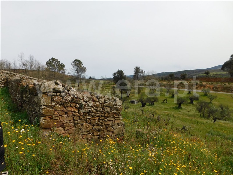 Terreno Rústico  Fundão, Pêro Viseu - 1319491 - 8