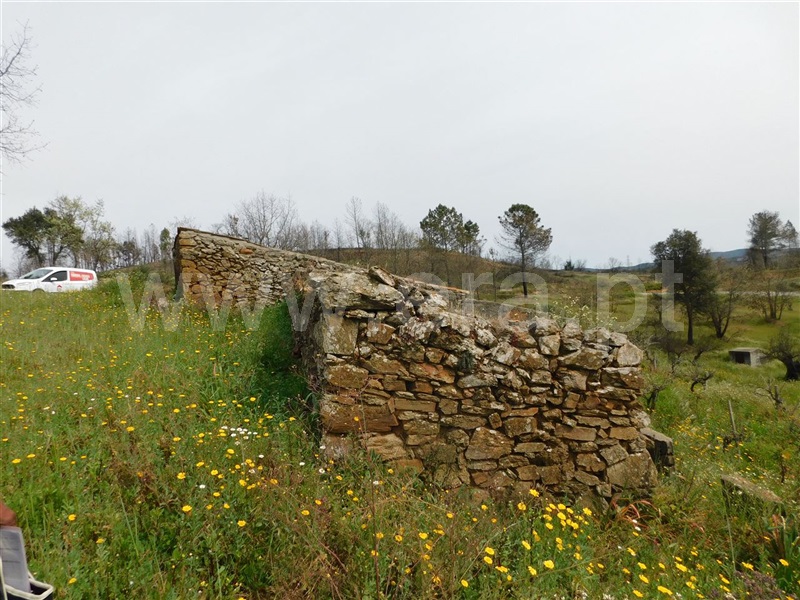 Terreno Rústico  Fundão, Pêro Viseu - 1319491 - 9