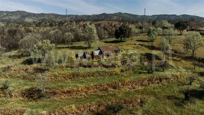 Terreno Rústico / Fundão, Pêro Viseu