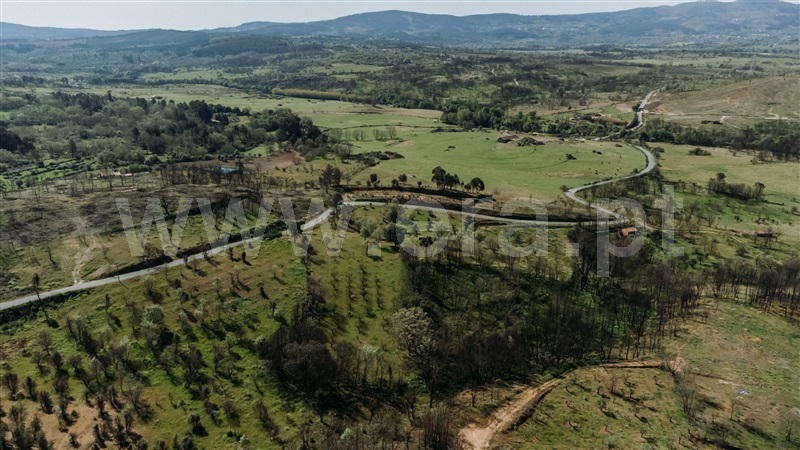 Terreno Rústico  Fundão, Pêro Viseu - 1319491 - 17