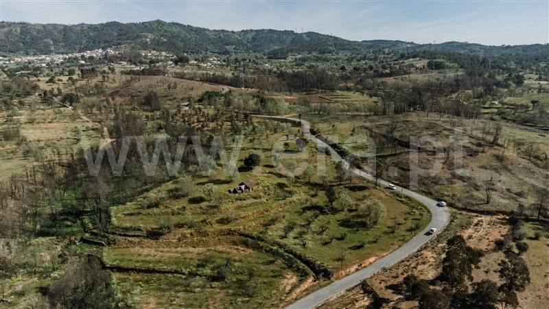 Terreno Rústico  Fundão, Pêro Viseu - 1319491 - 19