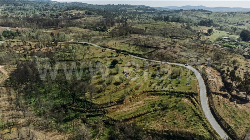 Terreno Rústico  Fundão, Pêro Viseu - 1319491 - 20