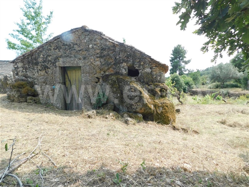 Terreno Rústico  Fundão, Vales Pêro Viseu - 1338220 - 2