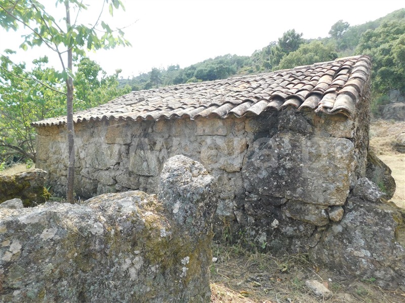 Terreno Rústico  Fundão, Vales Pêro Viseu - 1338220 - 3