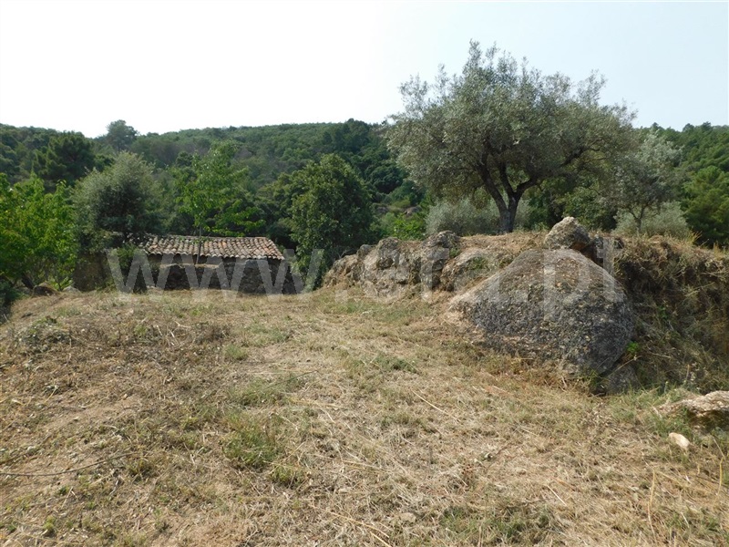 Terreno Rústico  Fundão, Vales Pêro Viseu - 1338220 - 5