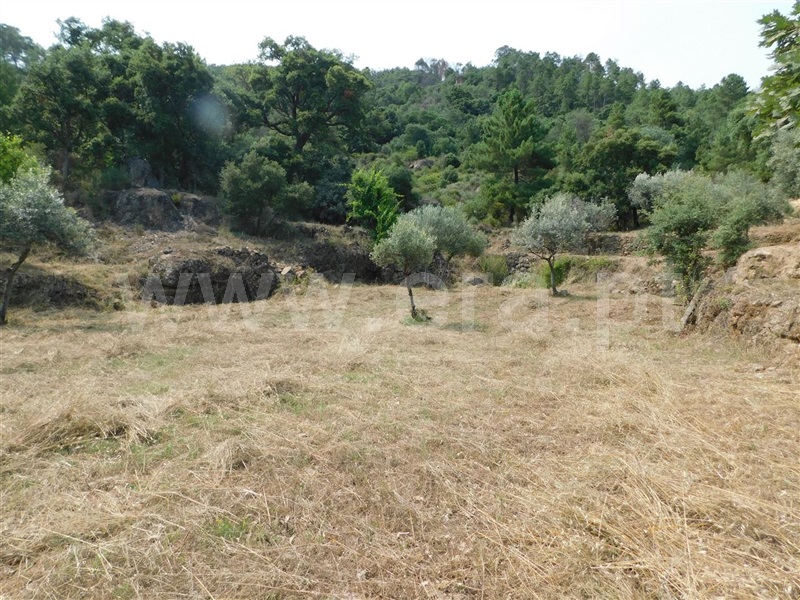 Terreno Rústico  Fundão, Vales Pêro Viseu - 1338220 - 7