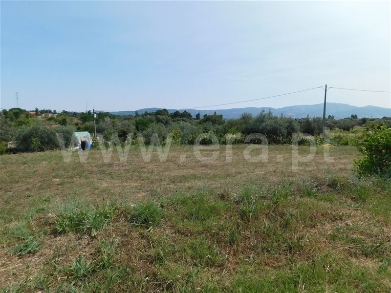 Terreno Rústico  Fundão, Pêro Viseu - 1338234 - 2