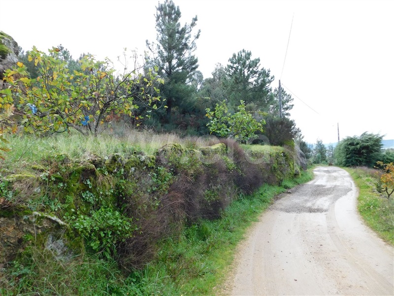Terreno Rústico  Fundão, Pêro Viseu - 1371116 - 2