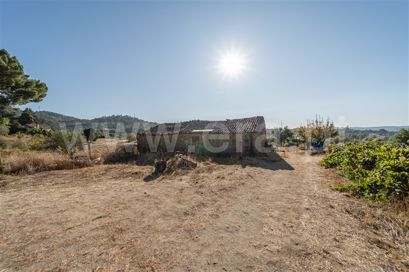 Terreno Rústico  Fundão, Pêro Viseu - 1502630 - 15
