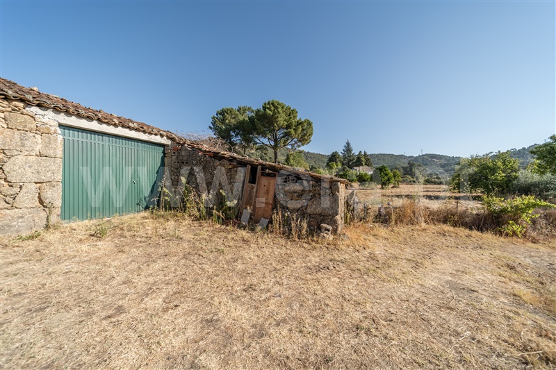 Terreno Rústico  Fundão, Pêro Viseu - 1502630 - 17