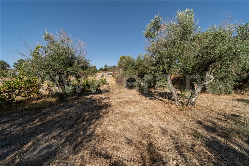 Terreno Rústico  Fundão, Pêro Viseu - 1502630 - 22