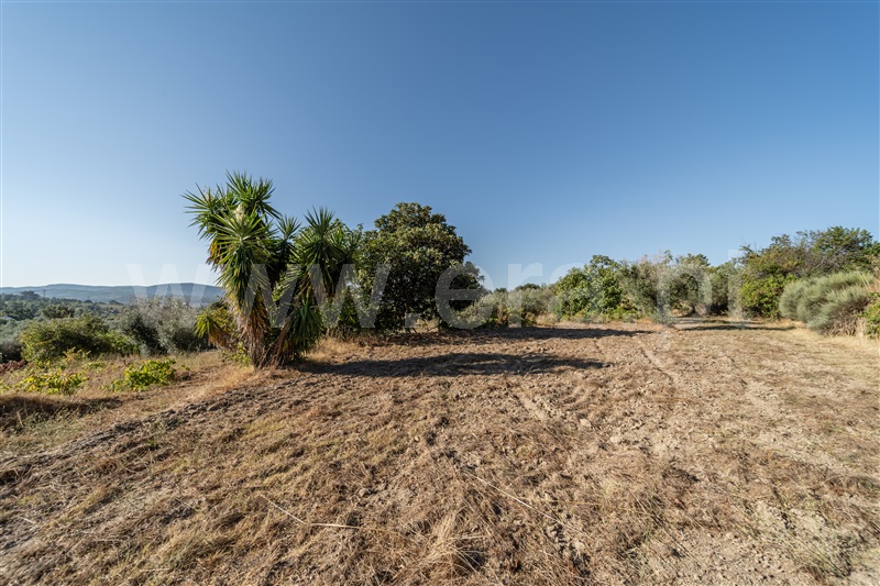Terreno Rústico  Fundão, Pêro Viseu - 1502630 - 24