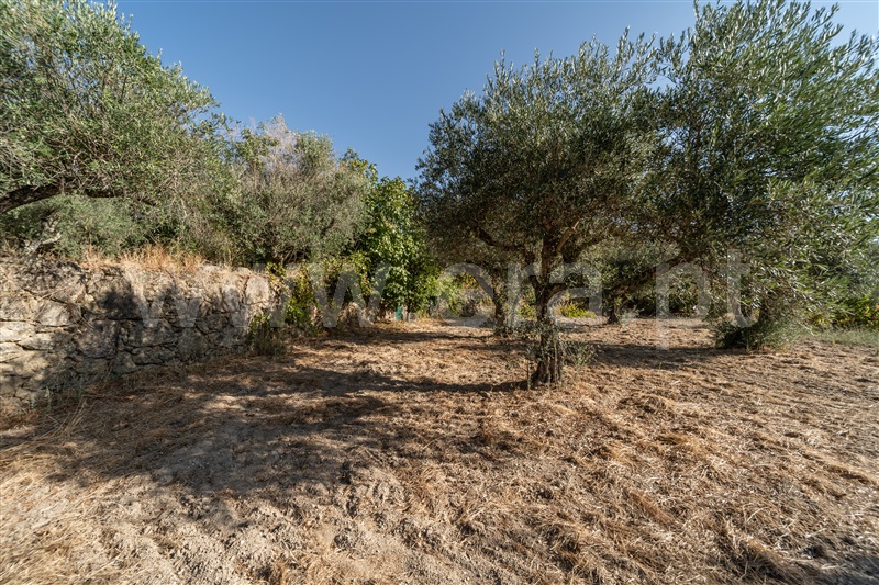 Terreno Rústico  Fundão, Pêro Viseu - 1502630 - 33