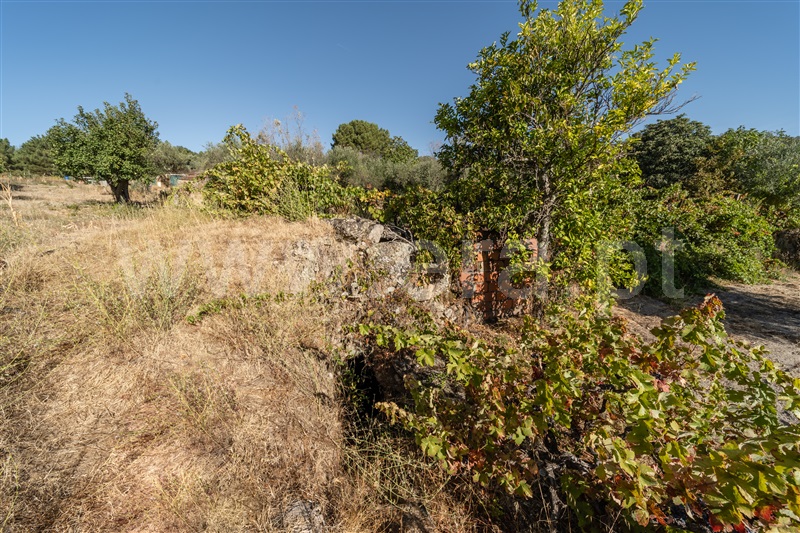 Terreno Rústico  Fundão, Pêro Viseu - 1502630 - 36