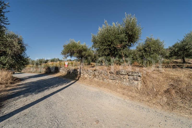 Terreno Rústico  Fundão, Pêro Viseu - 1502630 - 40