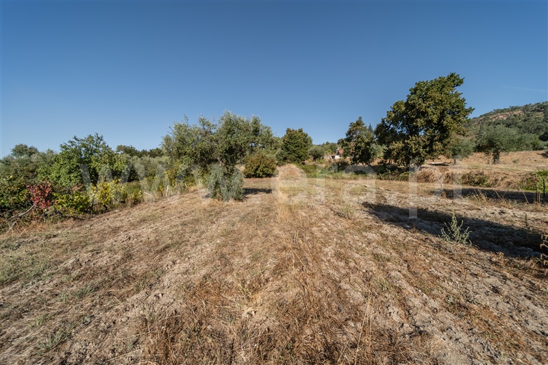 Terreno Rústico  Fundão, Pêro Viseu - 1502630 - 46