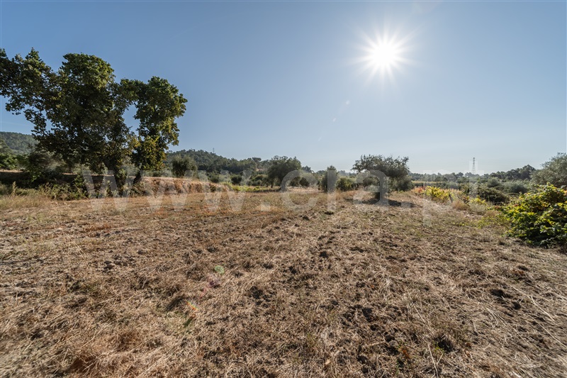 Terreno Rústico  Fundão, Pêro Viseu - 1502630 - 48