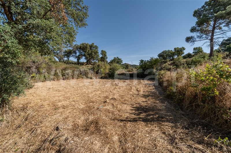 Terreno Rústico  com Rústico Fundão, Pêro Viseu - 1502631 - 2