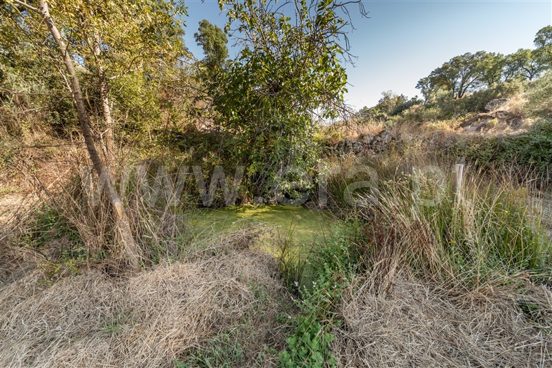 Terreno Rústico  com Rústico Fundão, Pêro Viseu - 1502631 - 3