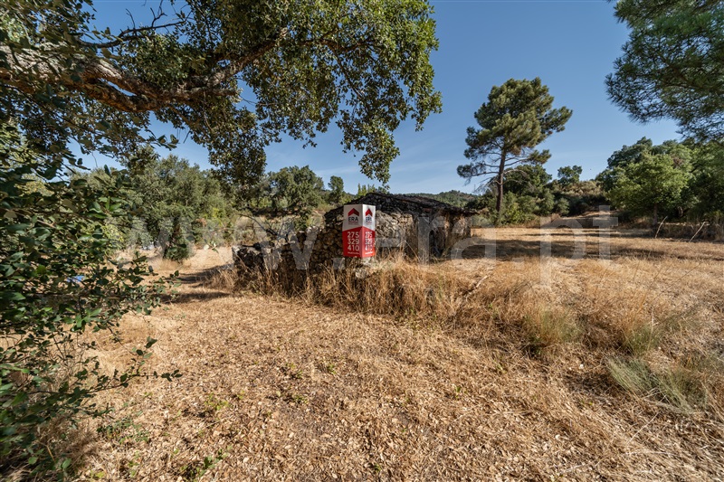 Terreno Rústico  com Rústico Fundão, Pêro Viseu - 1502631 - 6