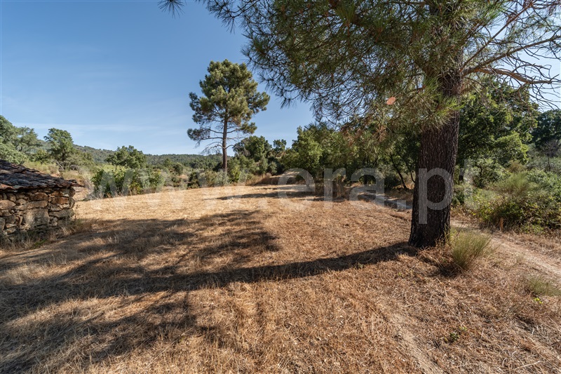 Terreno Rústico  com Rústico Fundão, Pêro Viseu - 1502631 - 8