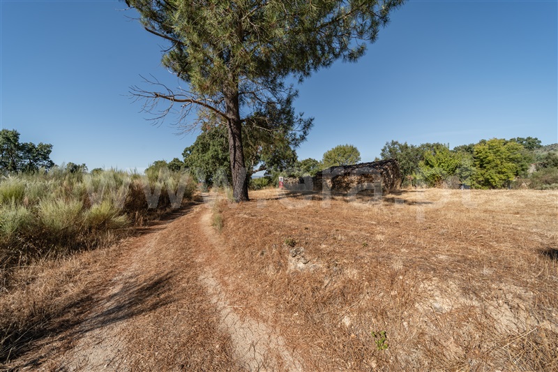 Terreno Rústico  com Rústico Fundão, Pêro Viseu - 1502631 - 10