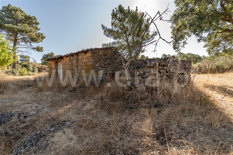 Terreno Rústico  com Rústico Fundão, Pêro Viseu - 1502631 - 14