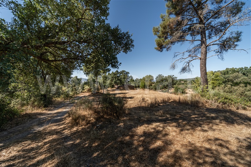 Terreno Rústico  com Rústico Fundão, Pêro Viseu - 1502631 - 16